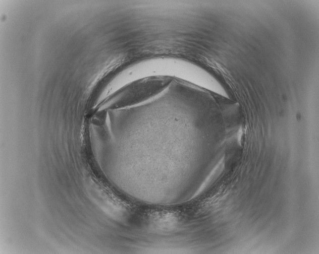 X0000059250735200510281955