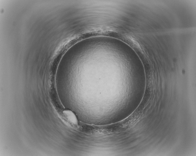 X0000059250736200510281955