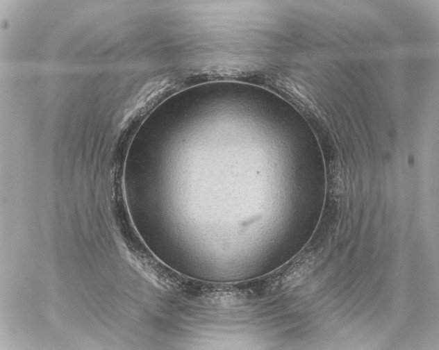 X0000059250738200510281955