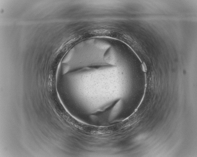 X0000059250739200510281955