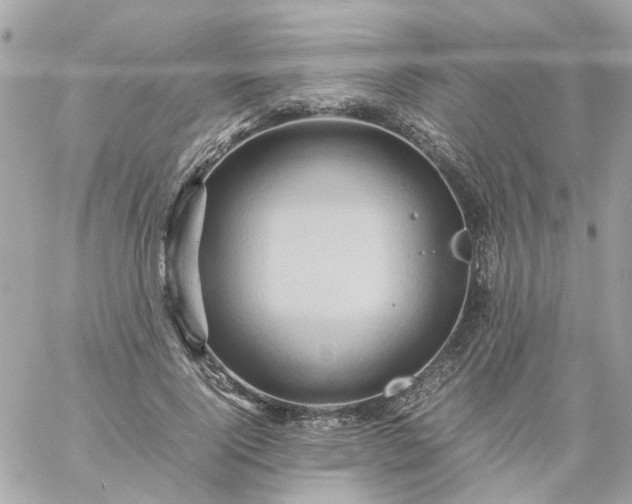 X0000059250740200510281955