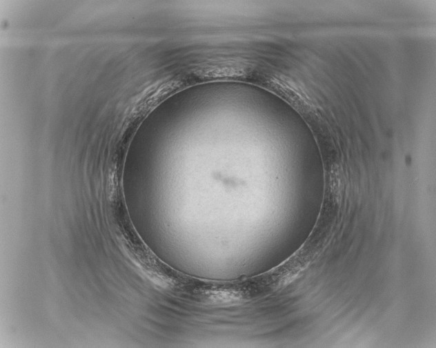 X0000059250741200510281955