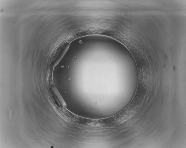 X0000059250742200510281955