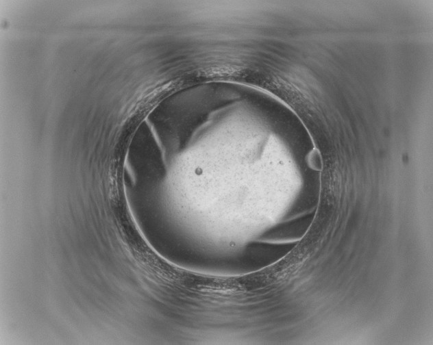 X0000059250743200510281955