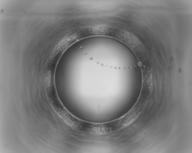 X0000059250744200510281955