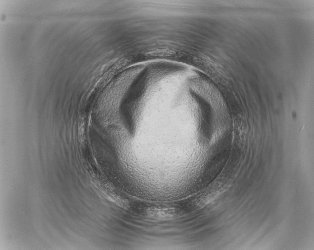 X0000059250745200510281955