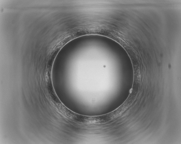 X0000059250746200510281955