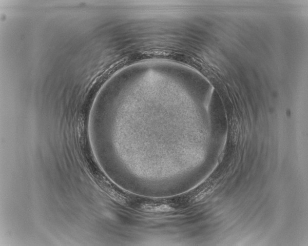 X0000059250747200510281955