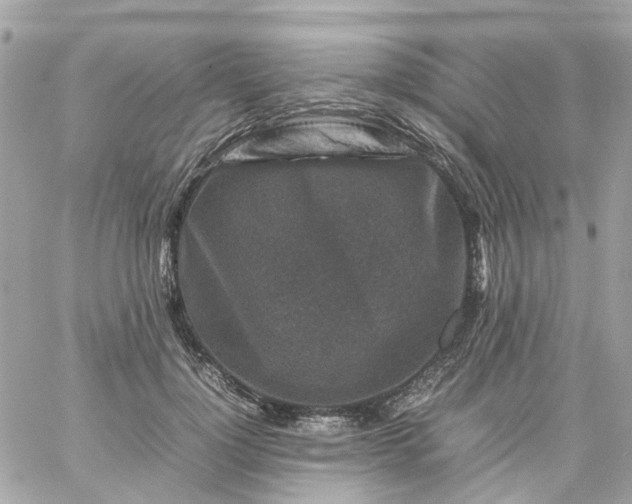 X0000059250748200510281955