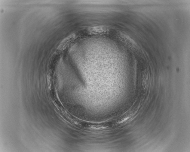 X0000059250749200510281955