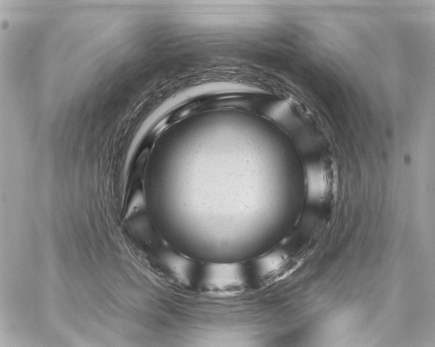 X0000059250750200510281956