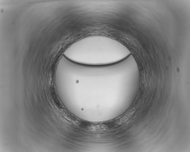 X0000059250752200510281956