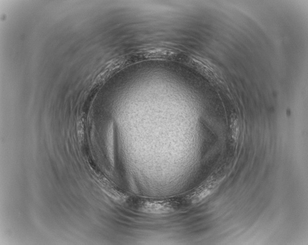 X0000059250753200510281956