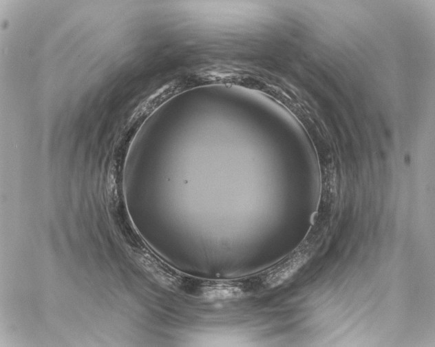 X0000059250754200510281956