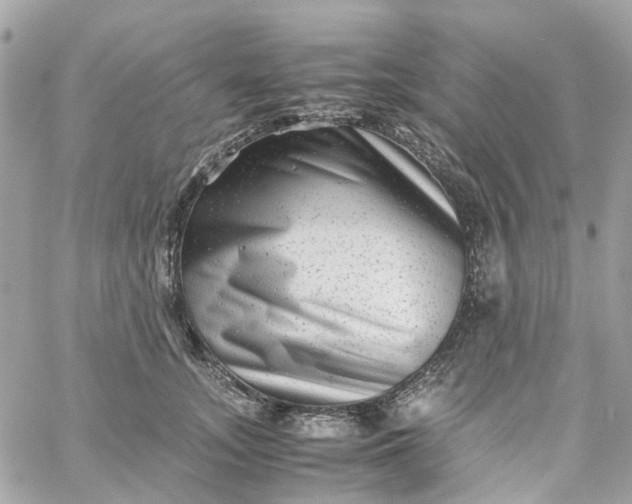 X0000059250755200510281956