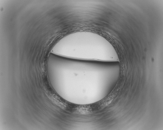 X0000059250756200510281956