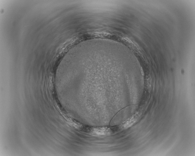 X0000059250757200510281956