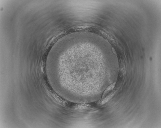 X0000059250758200510281956