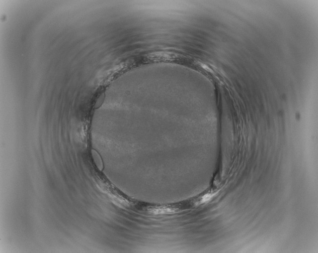 X0000059250759200510281956