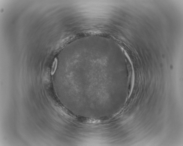 X0000059250760200510281956