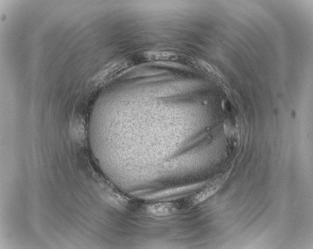 X0000059250761200510281956