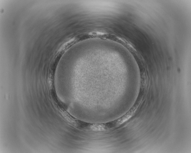 X0000059250762200510281956