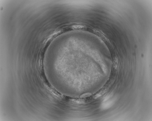 X0000059250763200510281956