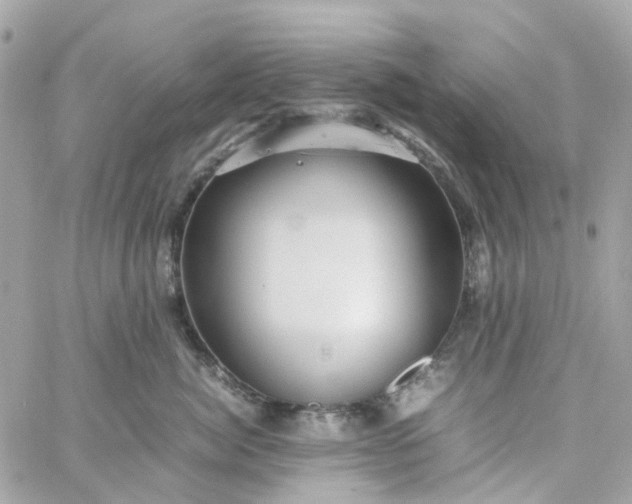 X0000059250764200510281956