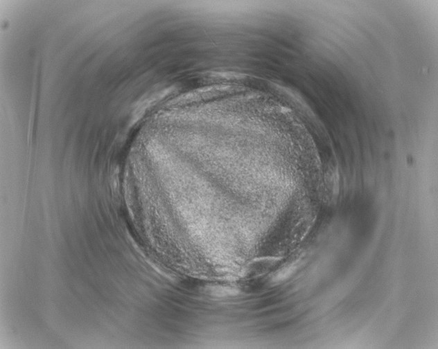 X0000059250765200510281956