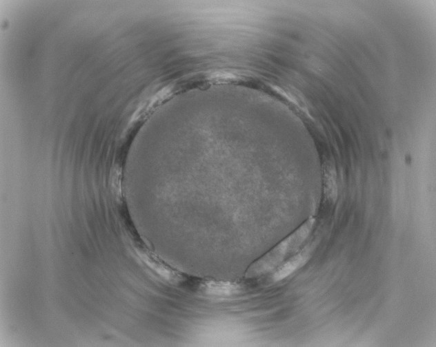 X0000059250766200510281956