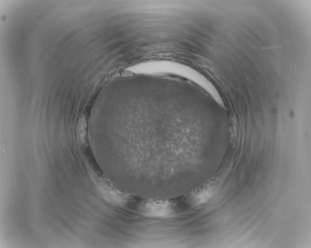 X0000059250767200510281956