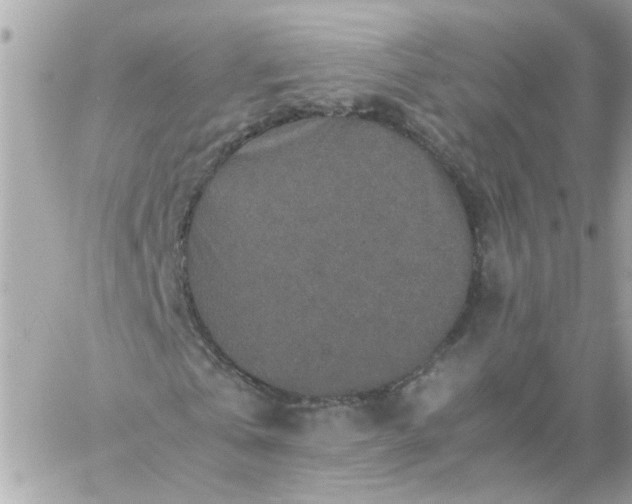 X0000059250769200510281955