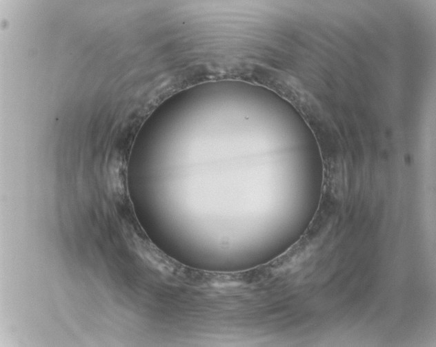 X0000059250770200510281955