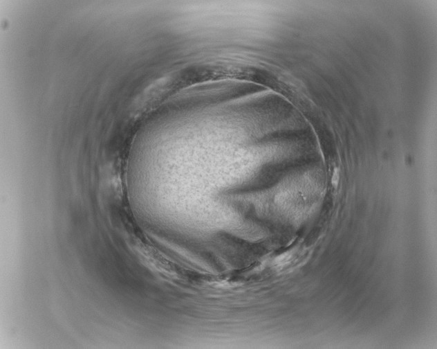 X0000059250771200510281955