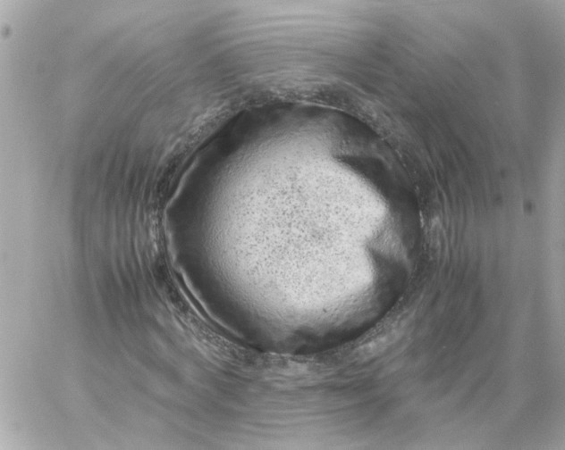 X0000059250772200510281955