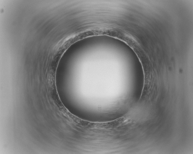 X0000059250773200510281955