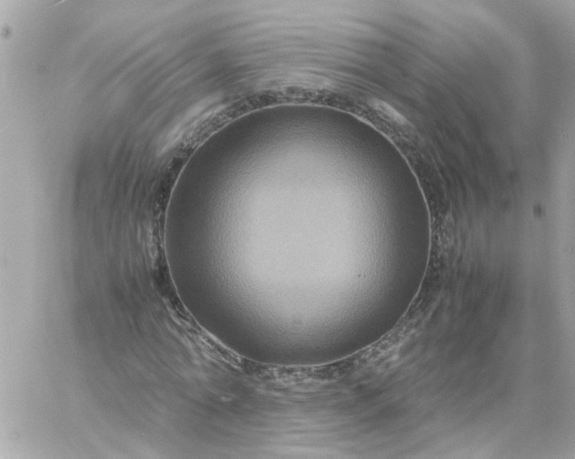 X0000059250774200510281955