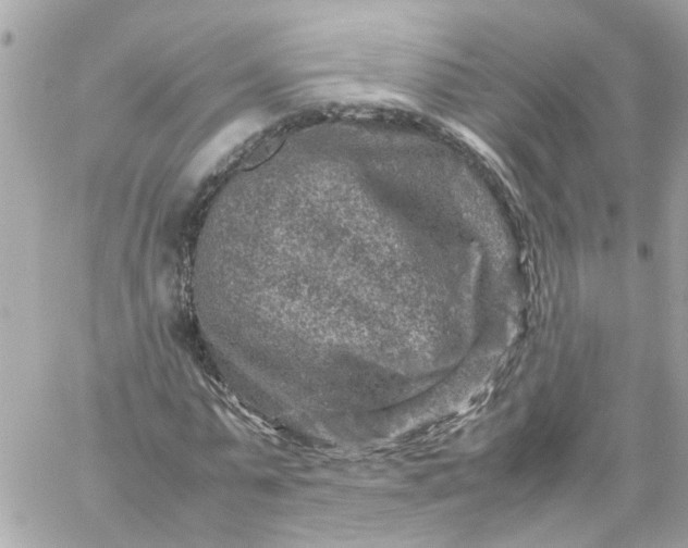 X0000059250775200510281955