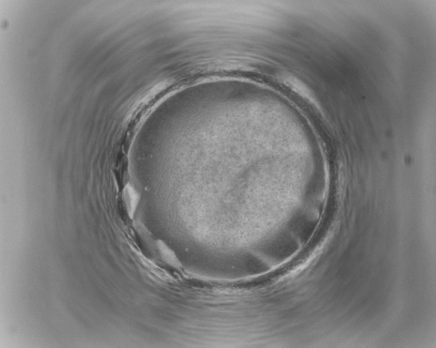 X0000059250777200510281955