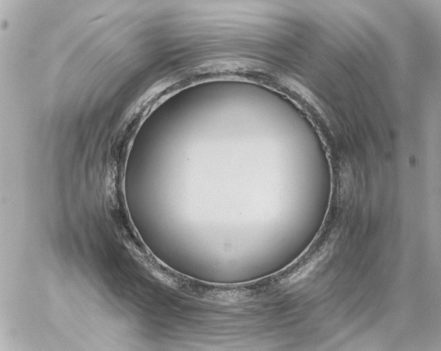 X0000059250778200510281955