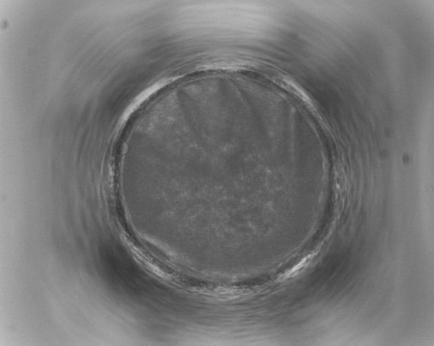 X0000059250779200510281955