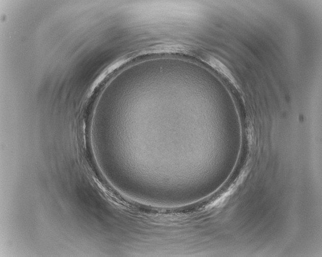 X0000059250781200510281955