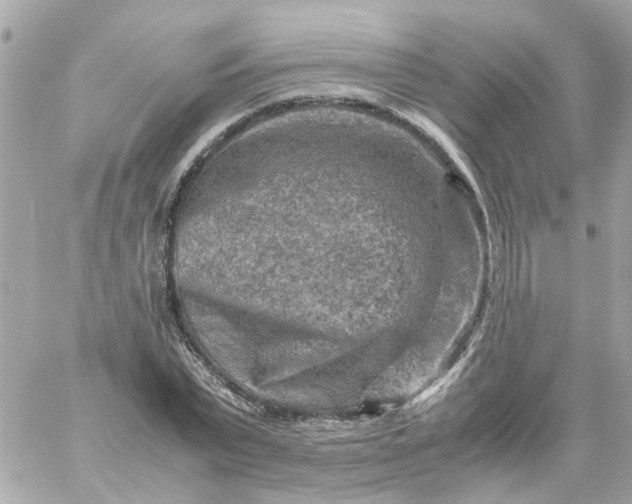 X0000059250783200510281955