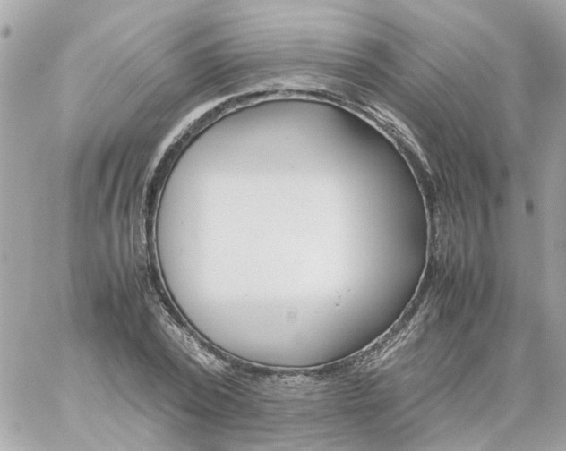 X0000059250784200510281955