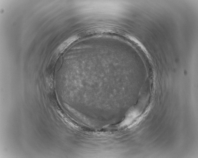 X0000059250785200510281955