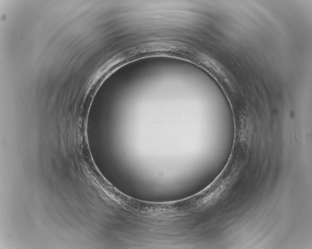 X0000059250786200510281955