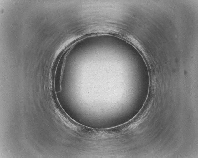 X0000059250787200510281955