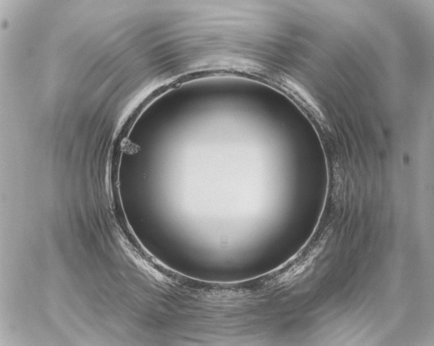 X0000059250788200510281955