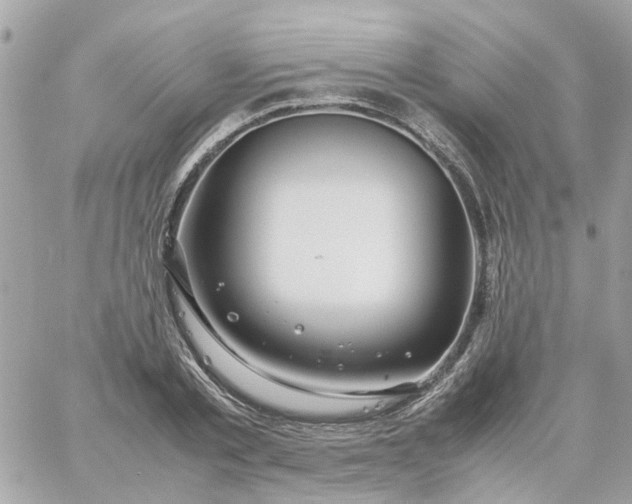 X0000059250789200510281955