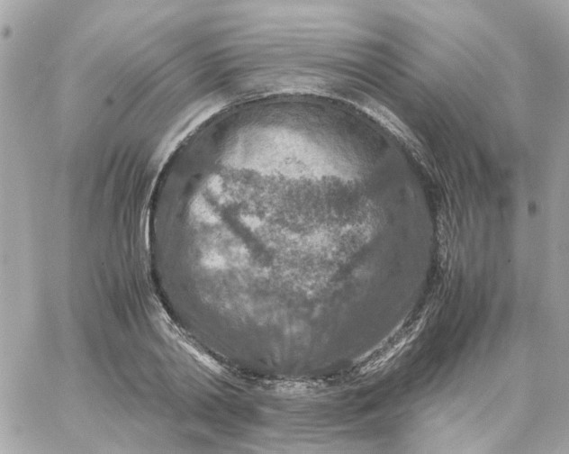 X0000059250790200510281955